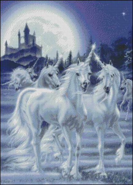 CMP 220201 Gathering Unicorns