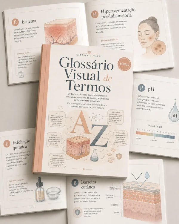 Bônus Glossário Visual de Termos