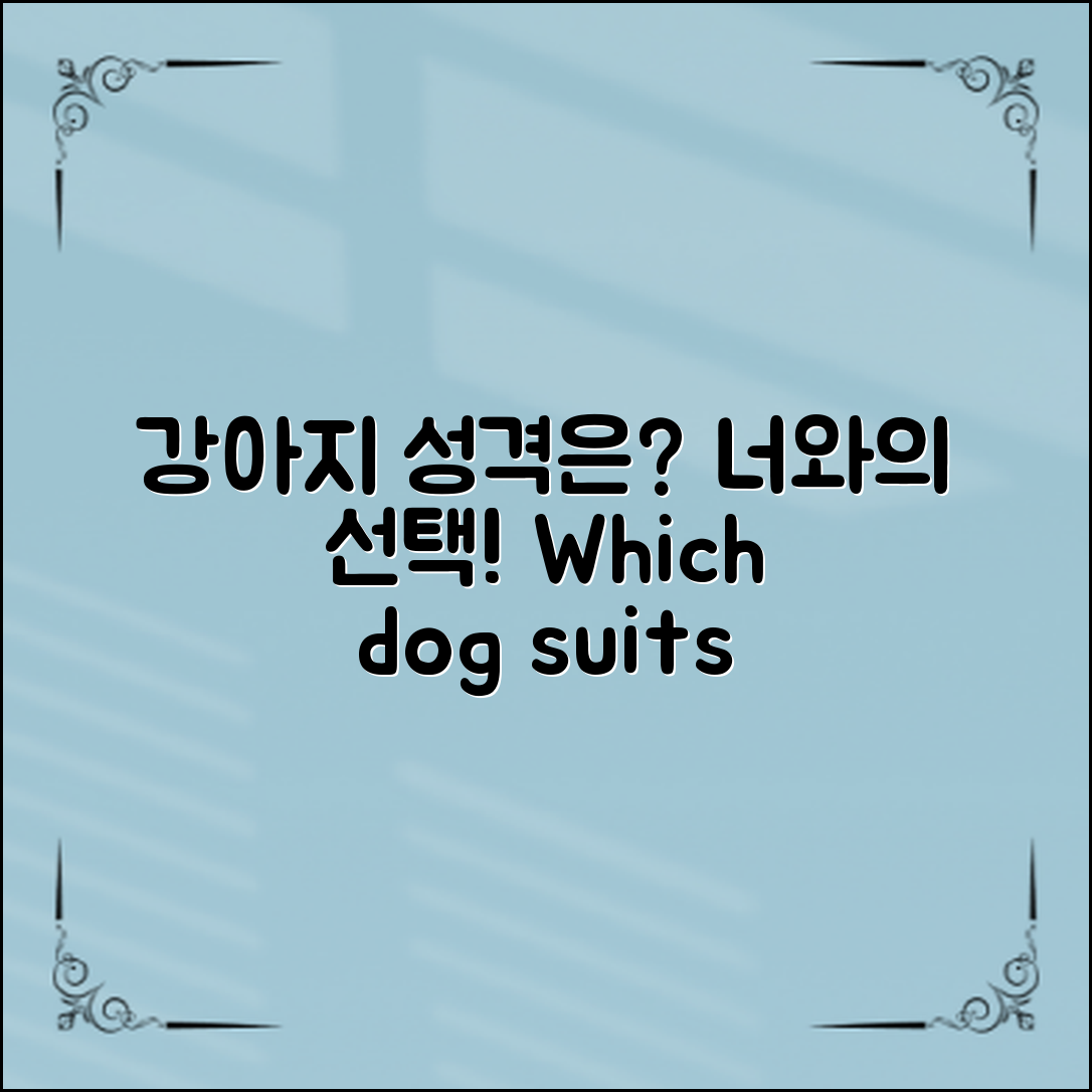 강아지 종류별 성격, 당신의 선택은?