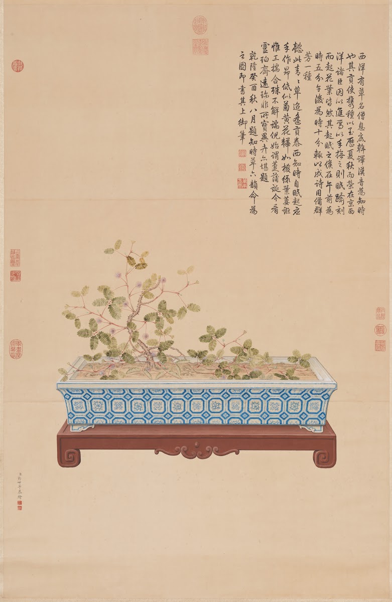 Time Telling Plant from the West 1753