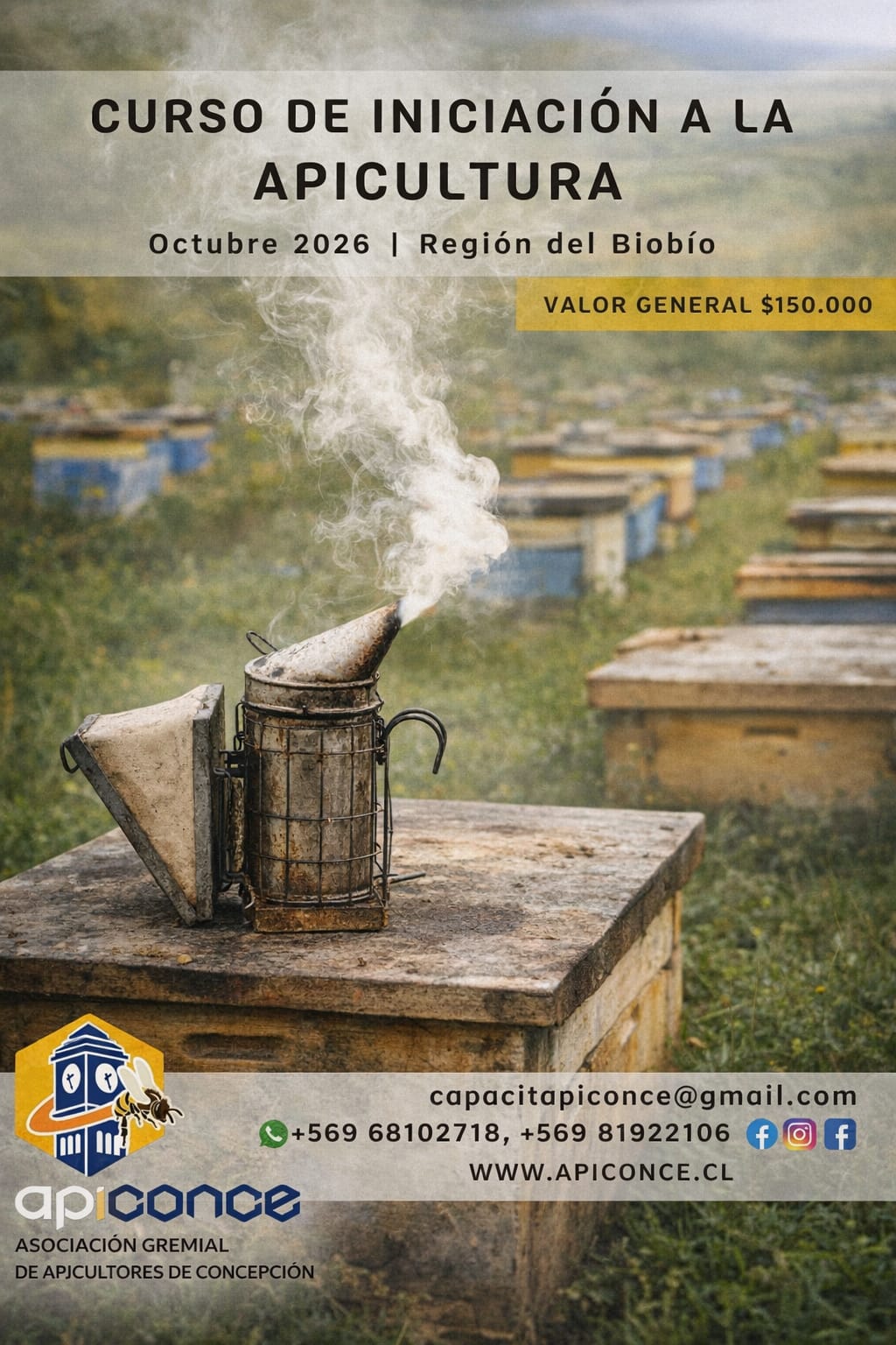 Curso Iniciación  a la Apicultura