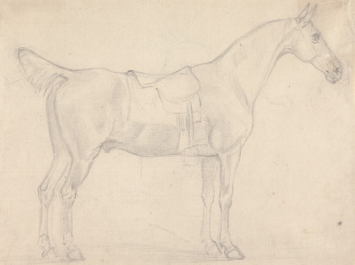 Saddled Horse Facing Right