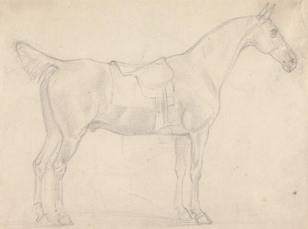 Saddled Horse Facing Right