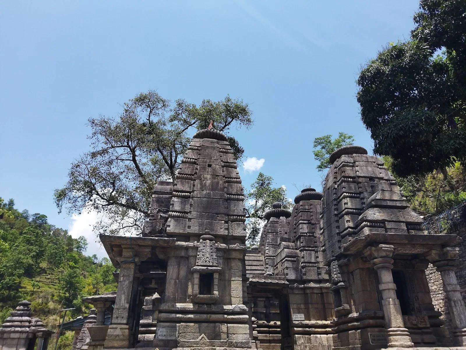 Adi Badri