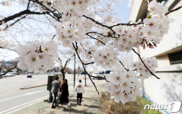 서울 벚꽃 명소 추천