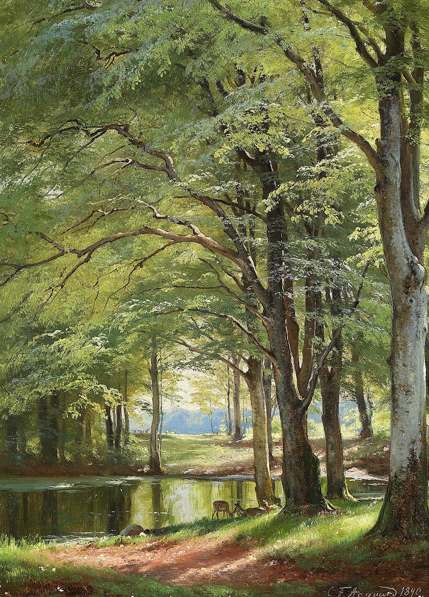 Åløb gennem skoven 1890