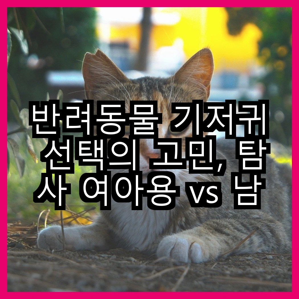 반려동물 기저귀 선택의 고민, 탐사 여아용 vs 남아용 기저귀, 어떤 차이가 있을까? 썸네일