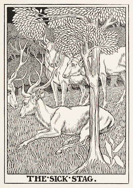 The Sick Stag 1900