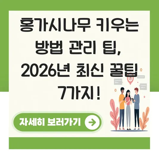 홍가시나무 키우는 방법 관리 팁