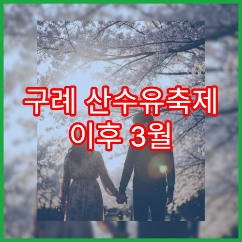 구례 산수유축제 이후 3월 벚꽃 연계 여행 루트