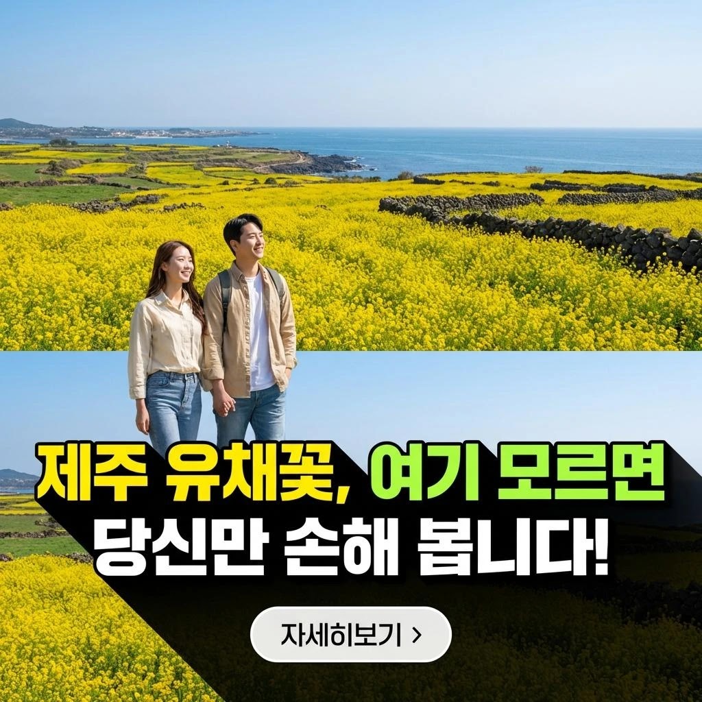 제주 유채꽃 명소 5곳: 주차부터 개화시기까지 완벽 가이드 (2026년)