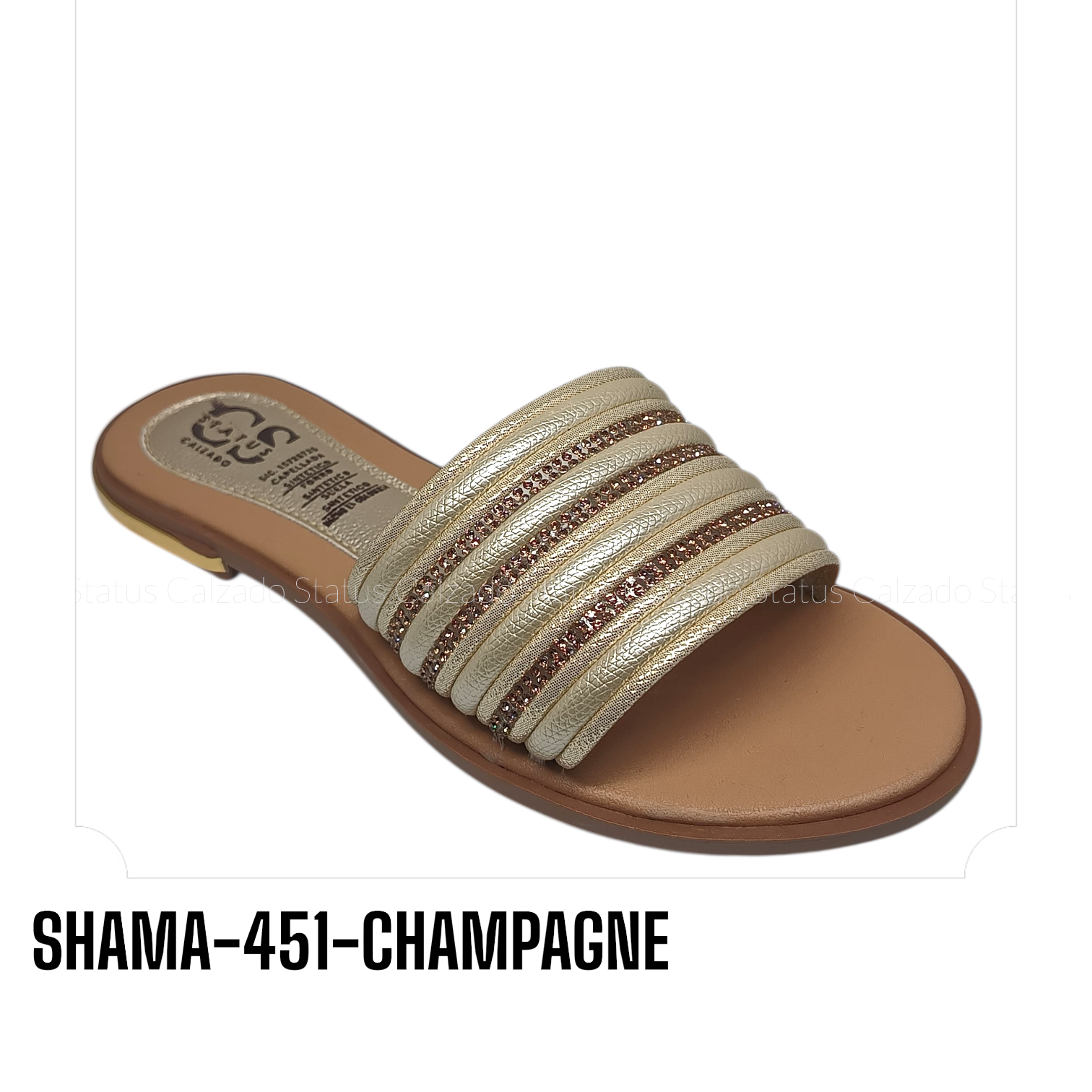 SHAMA-451-CHAMPAGNE