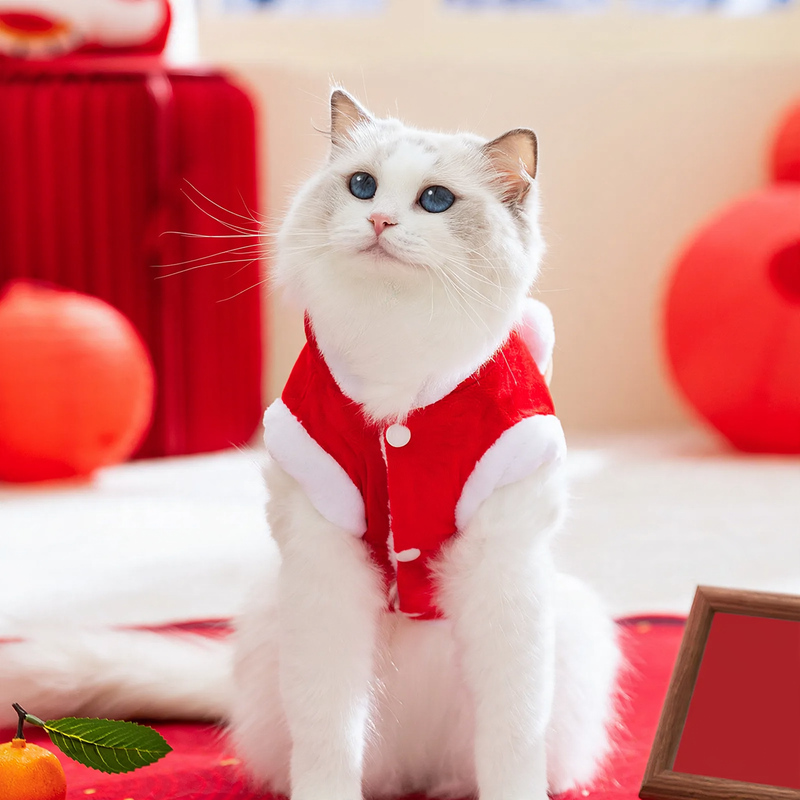Warm vest for cats and small dogs