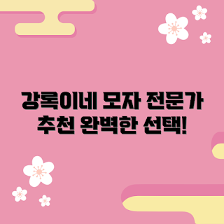 강록이네모자, 모자 추천, 패션 초보, 스타일 전문가, 강록이네 활용법