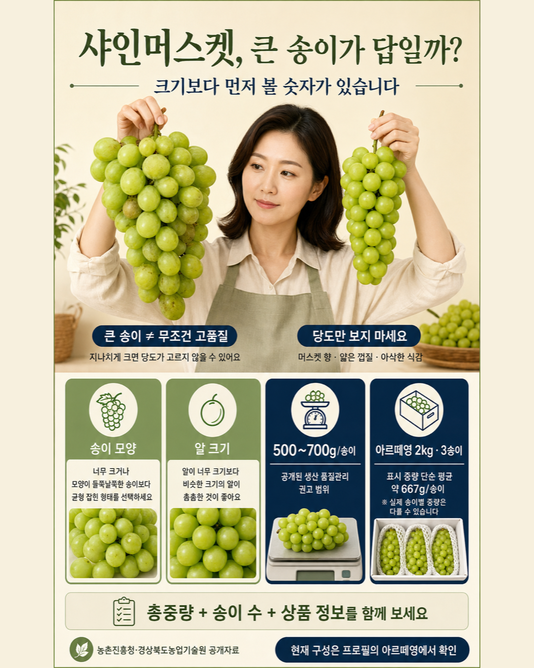 샤인머스켓 큰 송이 선택 기준과 500~700g 관리 범위를 설명하는 정보 이미지