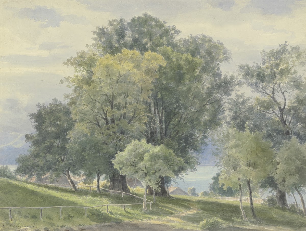 Frauenchiemsee 1876
