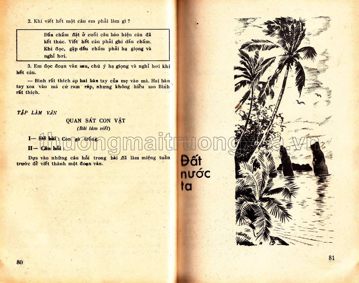 Tiếng Việt 3, tập 1 (1983) - Trang 41