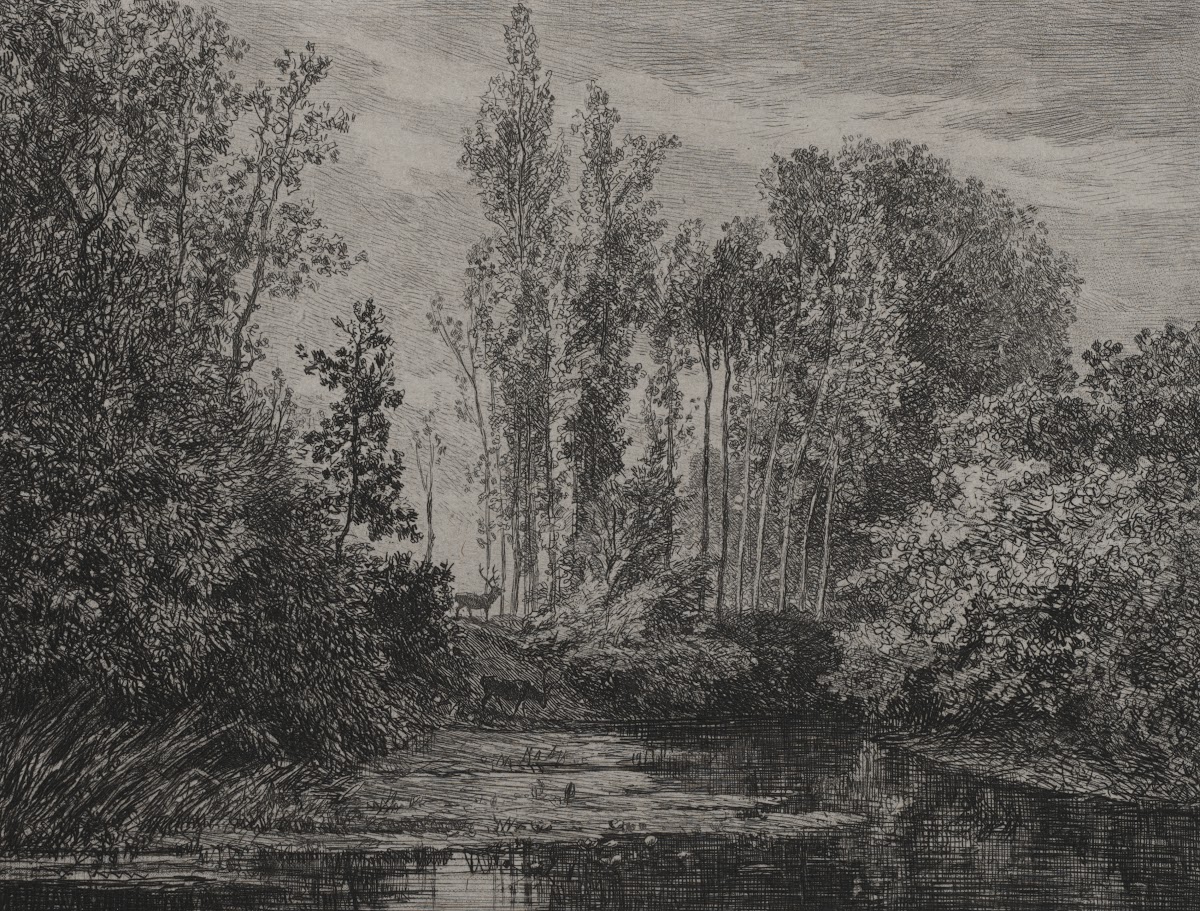 Stags at the waters edge 1850