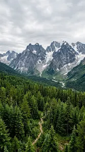 Dramatic Mountain Peaks Above a Lush Green Forest