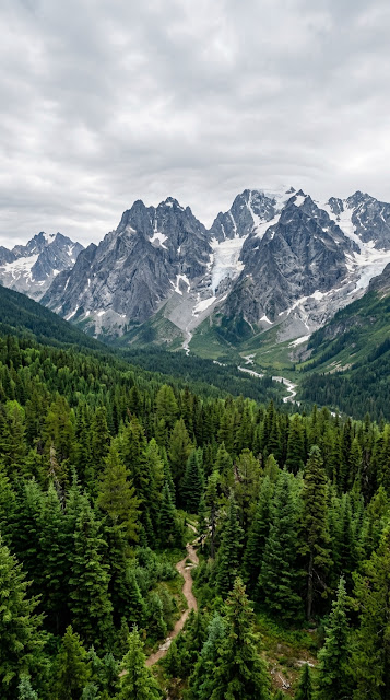 Dramatic Mountain Peaks Above a Lush Green Forest - Free mobile Wallpaper