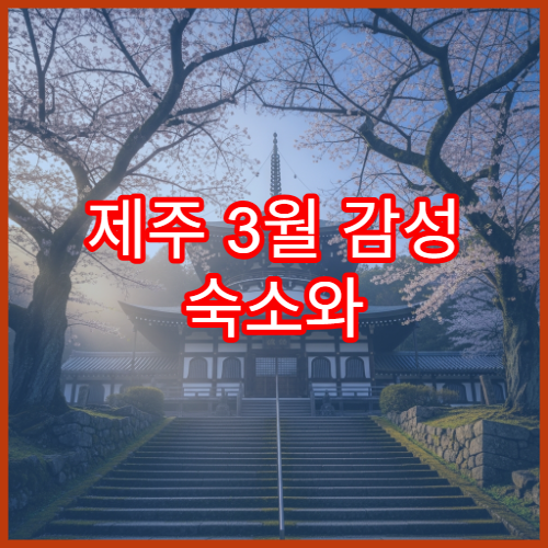 제주 3월 감성 숙소와 함께 즐기는 벚꽃 여행