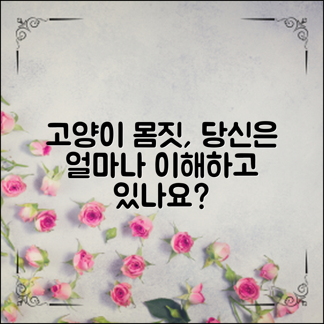 **고양이 몸짓 언어, 당신은 얼마나 이해하고 있나요?**