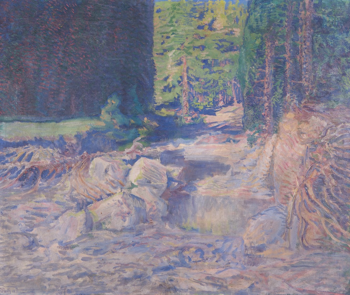 Ruhender Wildbach 1912