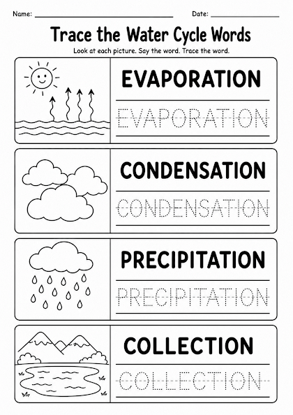 Trace the Water Cycle Words