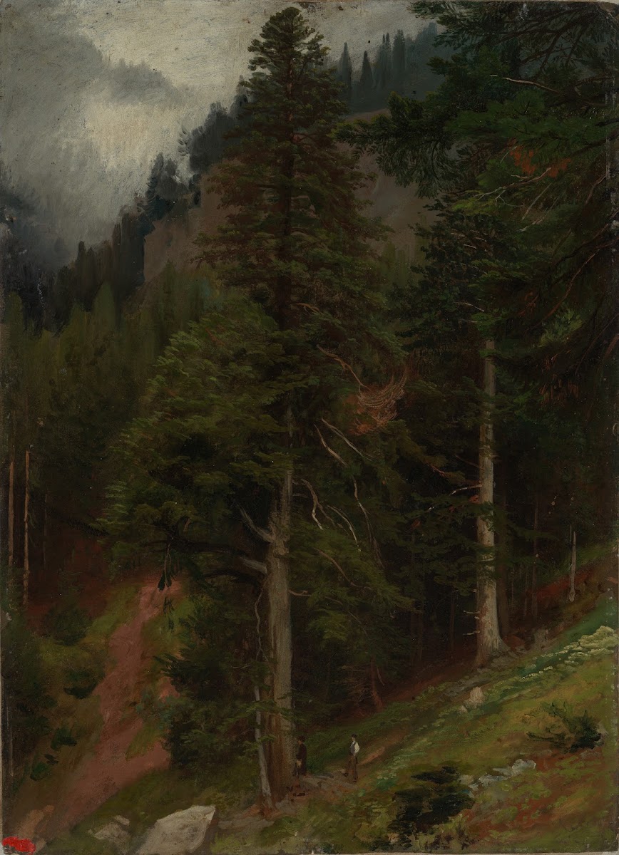 Abhang im Tannenwald 1853