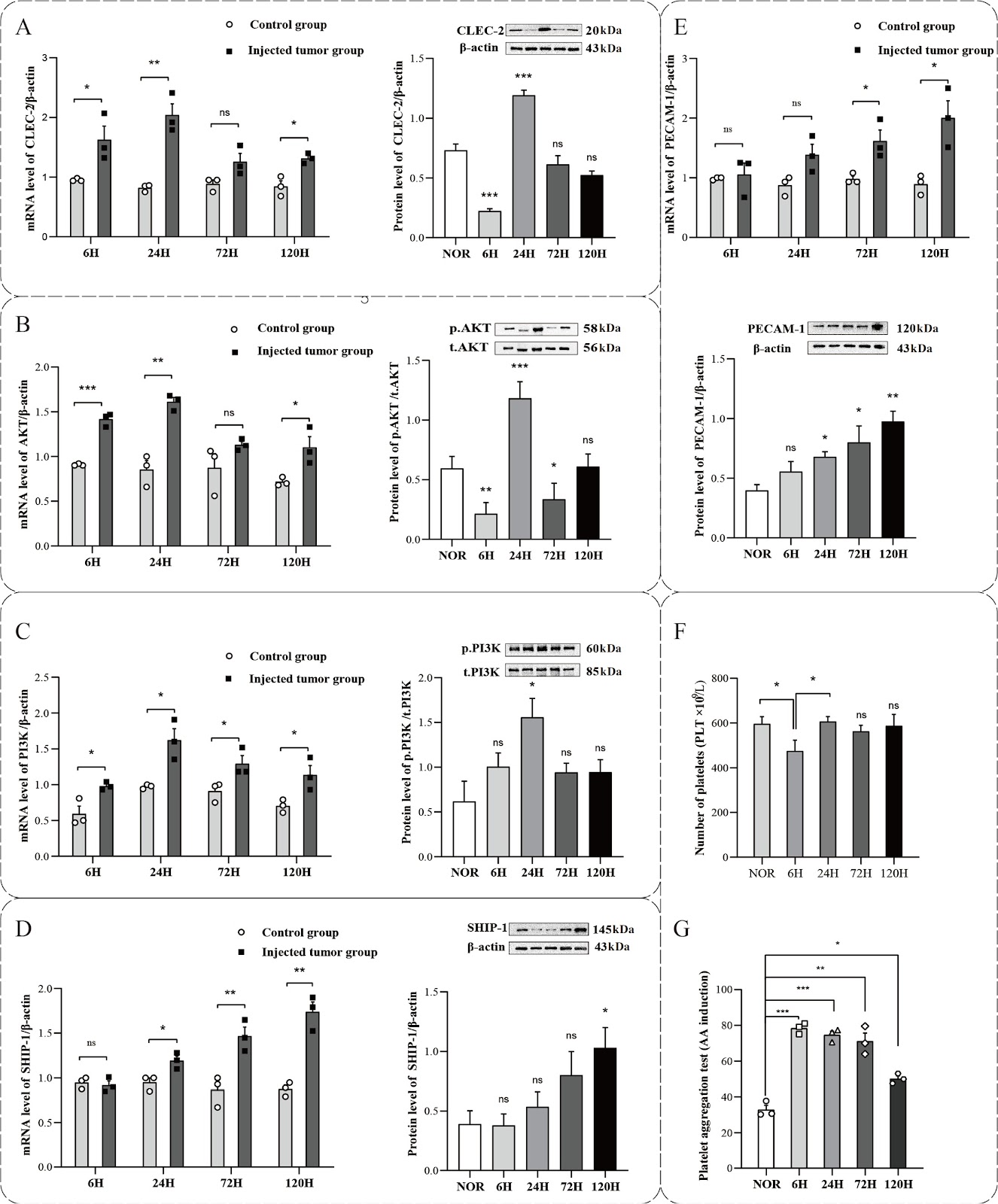 Metabolic analysis and identification of potential biomarkers of early-stage melanoma lung metastasis