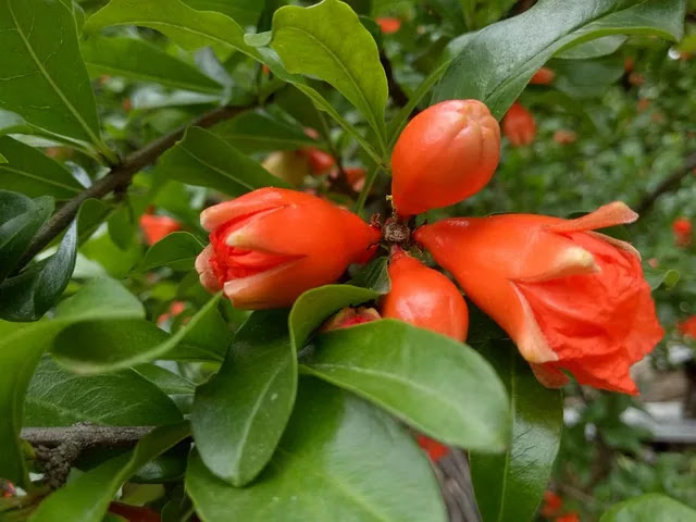 &lsquo;억울하다&rsquo;는 감정은 왜 생길까?