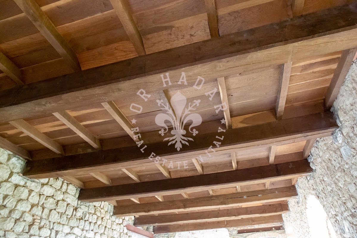 וילה קונסולאה (Villa Consulae) — 22