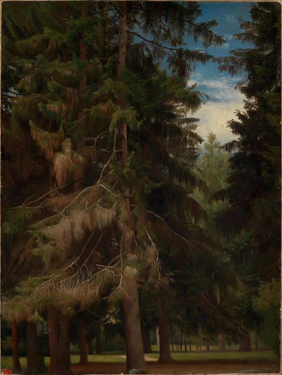 Lichtung im Tannenwald 1854 1863