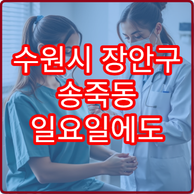 수원시 장안구 송죽동 일요일에도 여는 병원