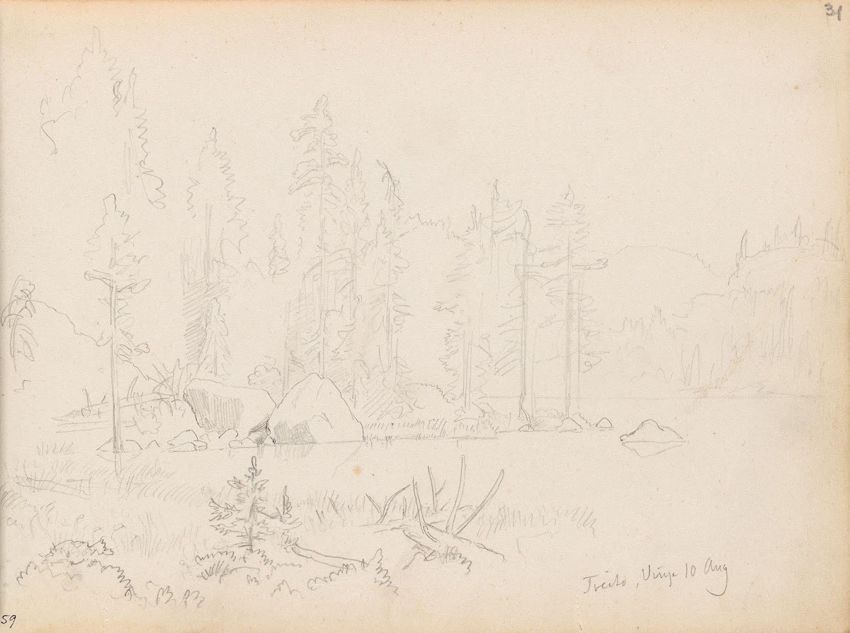 Vann ved Tveito i Vinje 1854