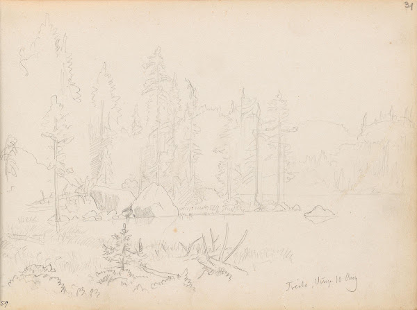 Vann ved Tveito i Vinje 1854