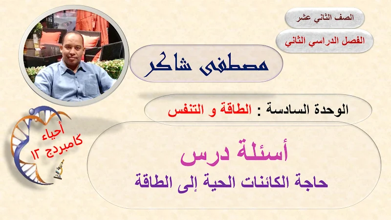 صورة الغلاف