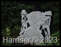 DSCF8191