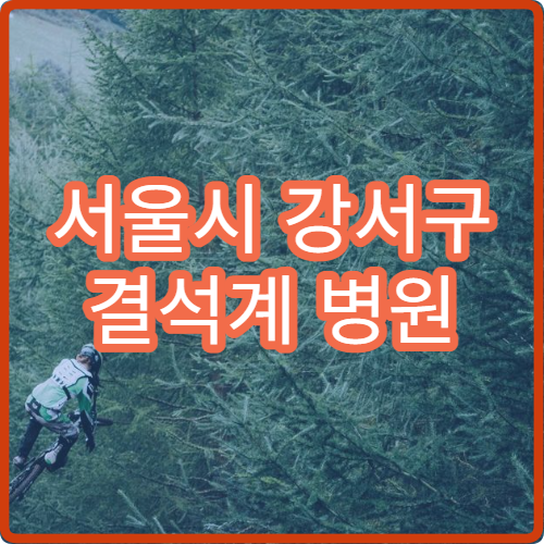 서울시 강서구 결석계 병원 진단서 발급 병원 진료 후 서류 받는 방법