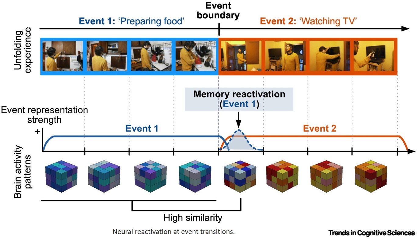 Neural reactivation supports memory formation when events end