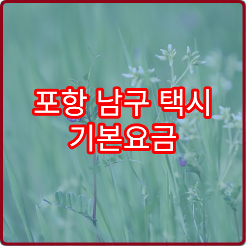 포항 남구 택시 기본요금 할인 70세 2026 혜택