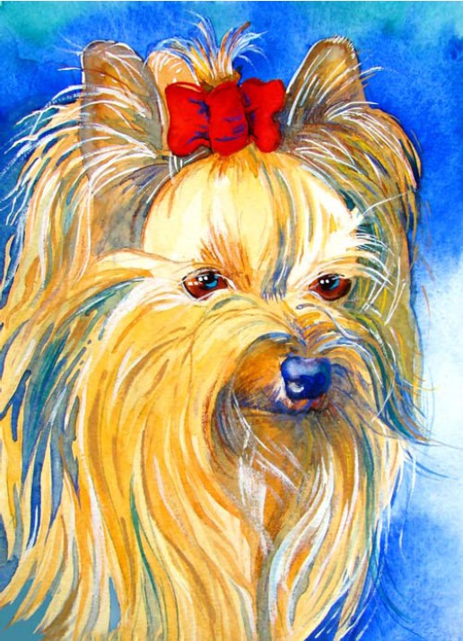 HAE DW157 Yorkie