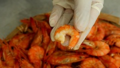 Để tôm hơi nguội bớt rồi cho tôm ra mẹt chuẩn bị đem phơi. Nếu bạn nào có thời gian thì sau khi rang tôm có thể bóc bỏ phần vỏ tôm ngay bước này sau đó hẳn đem phơi, như vậy tôm khô thành phẩm sẽ sạch vỏ và có hình thức đẹp hơn, phù hợp với những bạn muốn làm tôm khô đem biếu người thân hay đối tác. Đối với những bạn không có thời gian, chỉ dùng tôm khô nấu ăn thường ngày, hoặc với những con tôm nhỏ, tốn thời gian để bóc vỏ thì bạn cứ để nguyên con đem phơi nắng. Hôm nay Cooky sẽ làm cả 2 kiểu để thành phẩm các bạn tiện so sánh nhé!