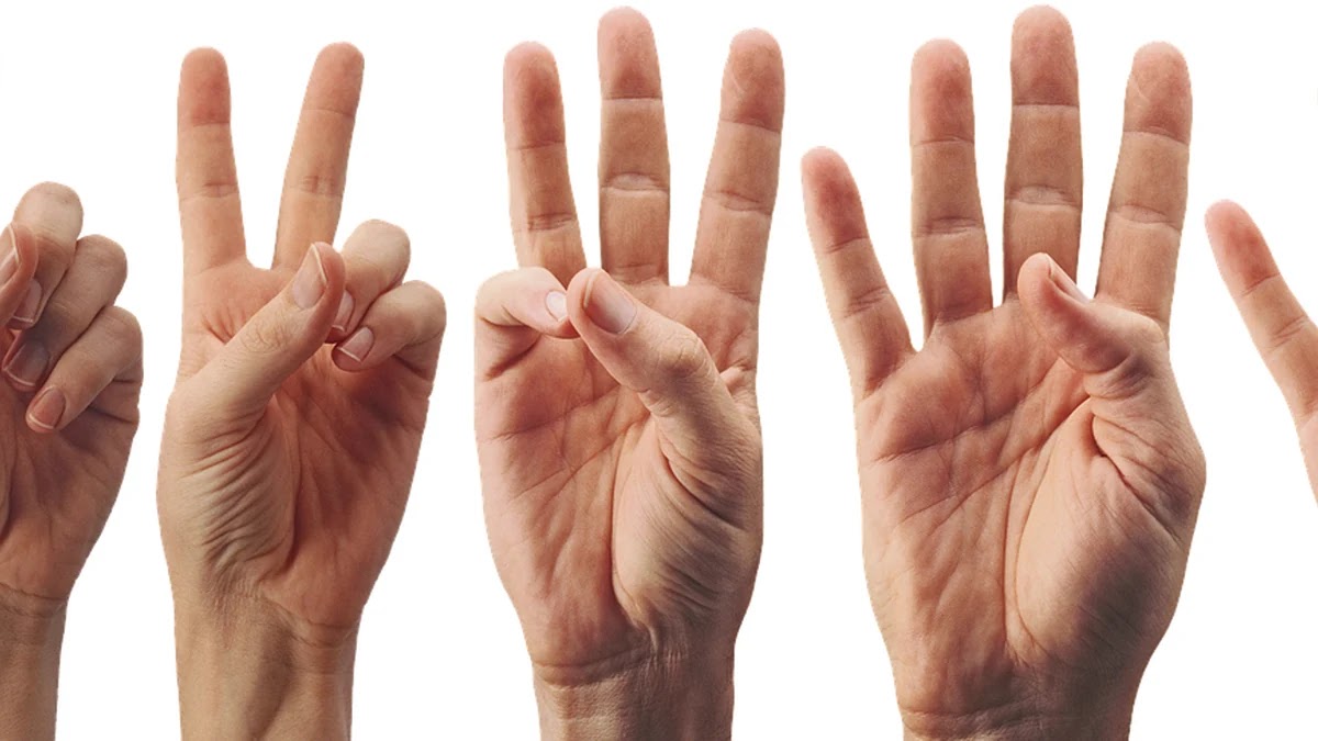 단기 투자에 적합한 CMA 상품별 수익률과 환금성 비교