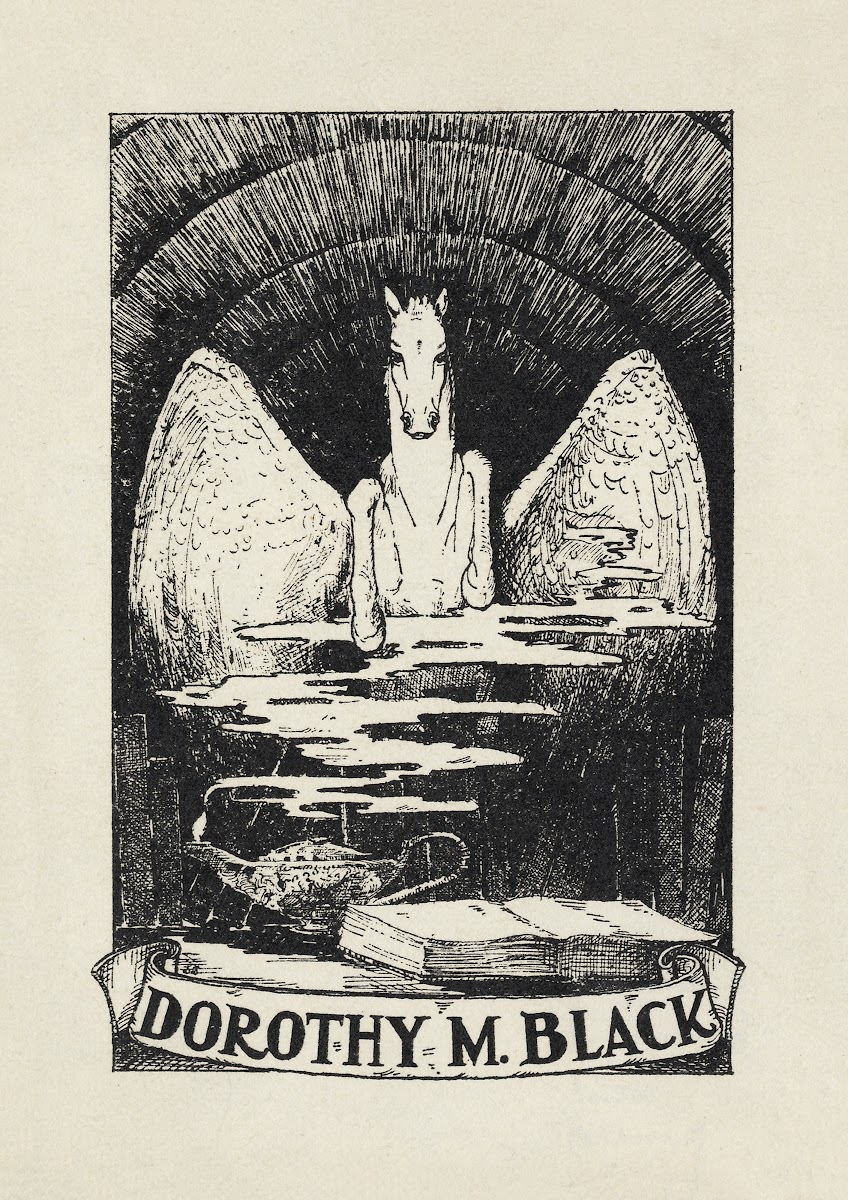 Dorothy M Black