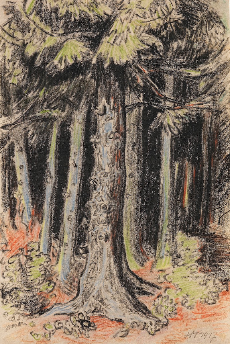 Summer Forest 1947