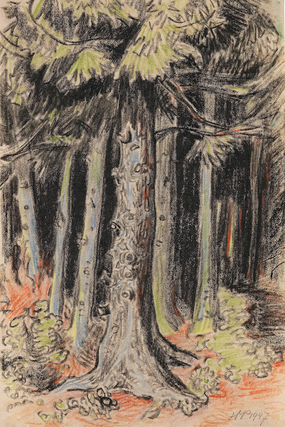 Summer Forest 1947