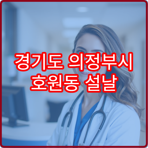 경기도 의정부시 호원동 설날 명절 연휴 당직약국 호원1·2동 호원사거리 24시간 처방전 조제