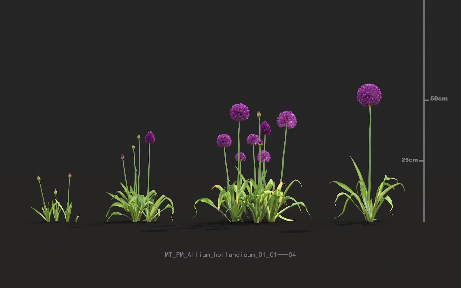 Maxtree - Plant Models Vol.20
