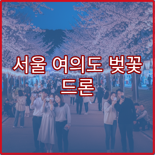 서울 여의도 벚꽃 드론 촬영 허용 구역과 규정 팁